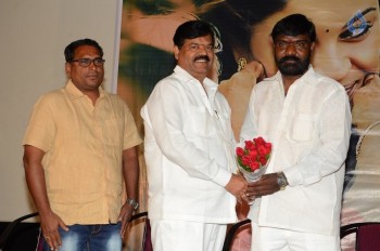 Mr Karthik Movie Audio Launch - 4 of 21