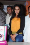 Mr.Manmadha Platinum Disc Function - 37 of 63