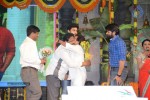 Mukunda Movie Audio Launch 04 - 184 of 291