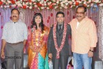 Music Director Sekhar Chandra Wedding Reception - 23 of 121