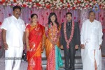 Music Director Sekhar Chandra Wedding Reception - 37 of 121