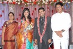 Music Director Sekhar Chandra Wedding Reception - 89 of 121