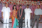 Music Director Sekhar Chandra Wedding Reception - 104 of 121