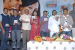 My Heart Is Beating Movie Audio Launch - 7 of 62