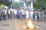 N Shankar Effigies Burnt Photos - 14 of 44