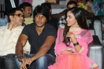 Na Rakumarudu Audio Launch - 31 of 142