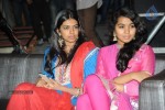 Na Rakumarudu Audio Launch - 41 of 142