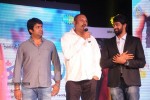 Na Rakumarudu Audio Launch - 45 of 142