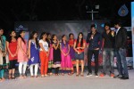Na Rakumarudu Audio Launch - 55 of 142