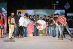 Na Rakumarudu Audio Launch - 61 of 142