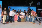 Na Rakumarudu Audio Launch - 120 of 142