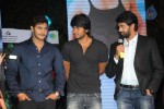 Na Rakumarudu Audio Launch - 124 of 142
