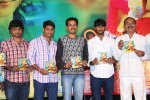 Naa Karma Kali Poyindi Movie Audio Launch - 4 of 68