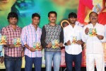 Naa Karma Kali Poyindi Movie Audio Launch - 14 of 68