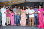 Naalo Okkadu Movie Audio Launch 02 - 16 of 63