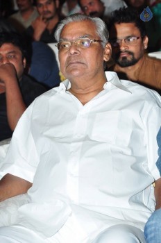 Naatukodi Movie Audio Launch 1 - 36 of 96