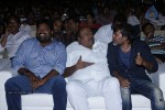 Naayak Movie Audio Launch 02 - 93 of 152