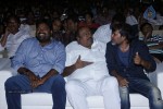 Naayak Movie Audio Launch 02 - 9 of 152