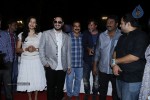 Naayak Movie Audio Launch 02 - 98 of 152