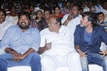 Naayak Movie Audio Launch 02 - 58 of 152