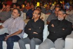 Naayak Movie Audio Launch 02 - 89 of 152