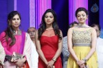 Naayak Movie Audio Launch 06 - 170 of 179