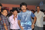 Nag at Rajanna Movie Special Show - 15 of 22