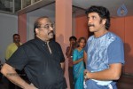 Nag at Rajanna Movie Special Show - 17 of 22