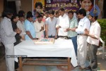 Naga Chaitanya Birthday Celebrations - 11 of 58