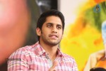 Naga Chaitanya Interview Photos - 10 of 65