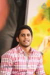 Naga Chaitanya Interview Photos - 15 of 65