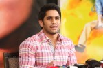 Naga Chaitanya Interview Photos - 29 of 65