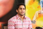 Naga Chaitanya Interview Photos - 36 of 65