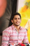 Naga Chaitanya Interview Photos - 42 of 65