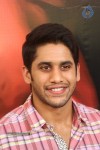 Naga Chaitanya Interview Photos - 49 of 65