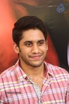 Naga Chaitanya Interview Photos - 62 of 65