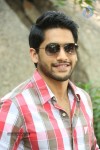 Naga Chaitanya Interview Pics - 3 of 82