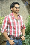 Naga Chaitanya Interview Pics - 5 of 82