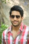 Naga Chaitanya Interview Pics - 6 of 82