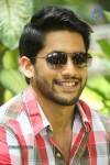 Naga Chaitanya Interview Pics - 28 of 82