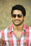 Naga Chaitanya Interview Pics - 45 of 82