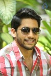 Naga Chaitanya Interview Pics - 47 of 82