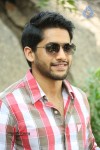 Naga Chaitanya Interview Pics - 49 of 82