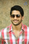 Naga Chaitanya Interview Pics - 51 of 82