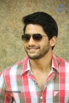 Naga Chaitanya Interview Pics - 52 of 82