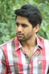 Naga Chaitanya Interview Pics - 62 of 82