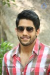 Naga Chaitanya Interview Pics - 74 of 82