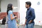 Naga Chaitanya New Movie Opening - 37 of 96