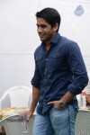 Naga Chaitanya New Movie Opening - 79 of 96