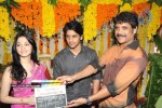 Naga Chaitanya New Movie Opening Stills - 34 of 154